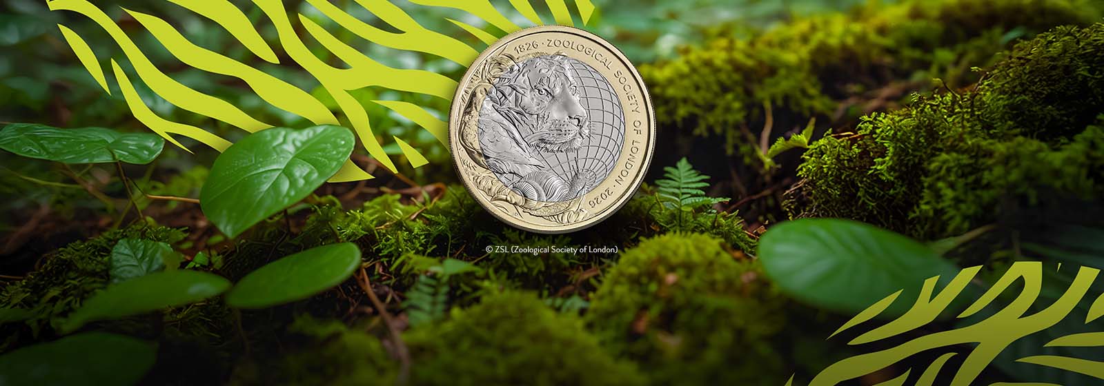 Conserving the Future of Wildlife